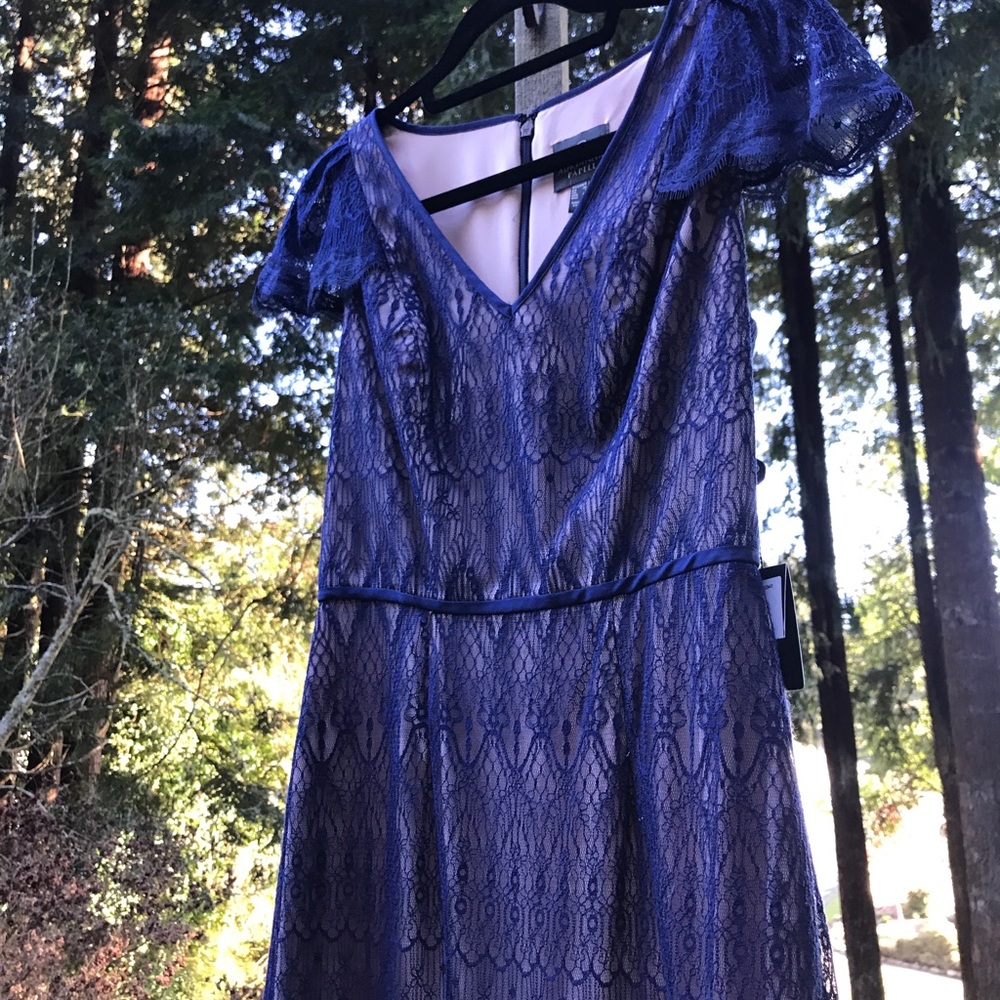 Lace Adrianna Papell Dress - Picture 6 of 6